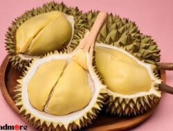 Tempoyak Durian