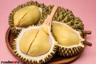 Tempoyak Durian