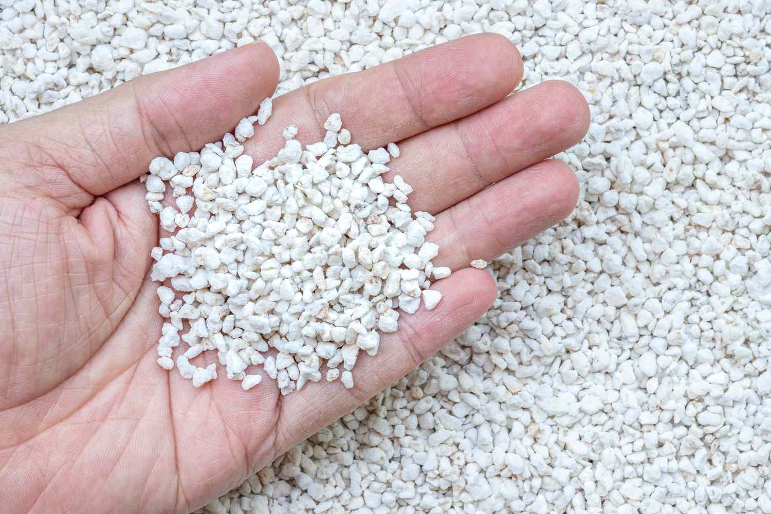 Perlite vs Vermikulit Perbedaan dan Kegunaannya dalam Pertanian Read