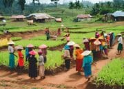 Reformasi Agraria di Indonesia: Solusi Mengatasi Ketimpangan Lahan